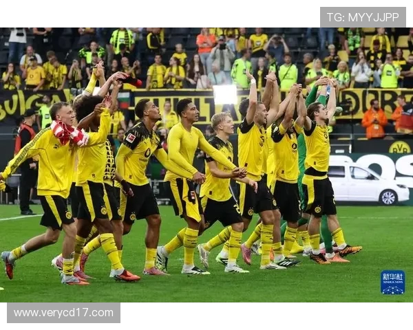 多特蒙德足球俱乐部历史与现状解析及未来发展趋势展望