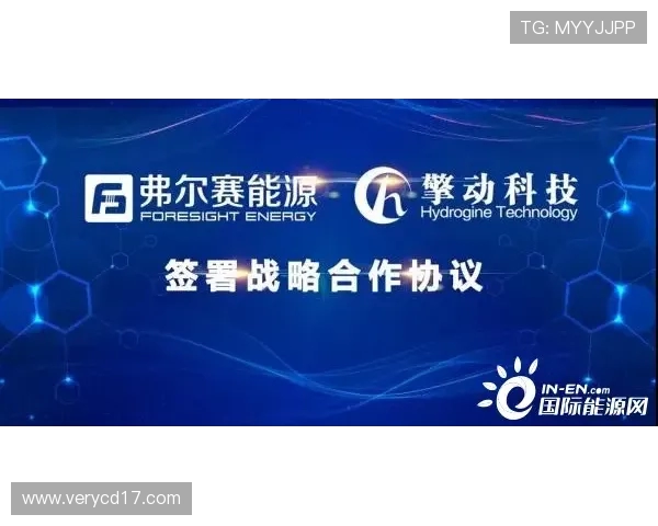 城市赛分析：IG团队协作的默契与战术执行力全面解读